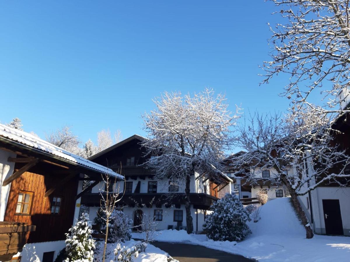Ferienwohnung Freudensee Im Bayerischen Wald - Pool, Sauna Hauzenberg Exterior foto